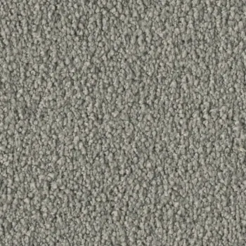 Preview: Vorwerk Violetta 54A9 – Draufsicht Teppichboden Farbe 54A9 ohne Badge